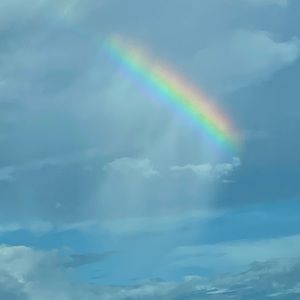 Meet your Posher, Ann